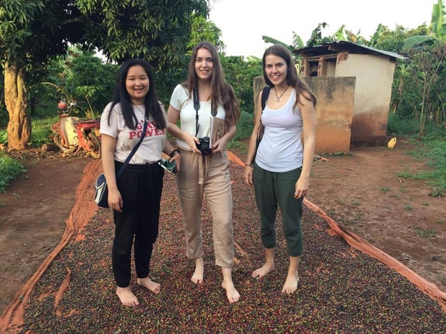 What to expect from an international internship What to expect from an international internship