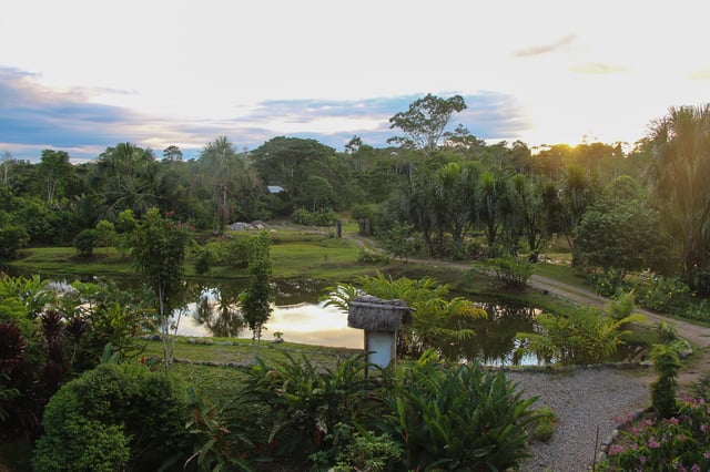 Engage Ecuador - Into the Amazon