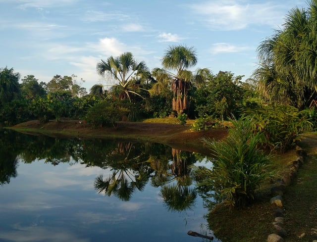 Engage Ecuador - In the Jungle